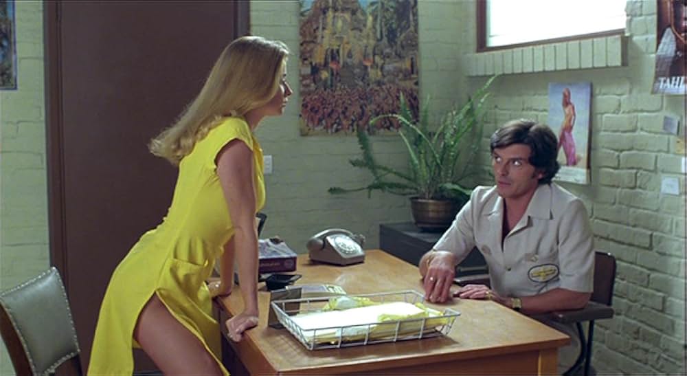 トンチキ・バナナ航空の画像