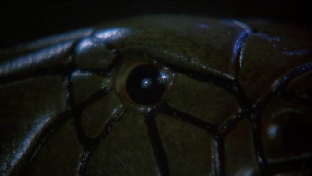 コブラパニック・呪われた牙の画像