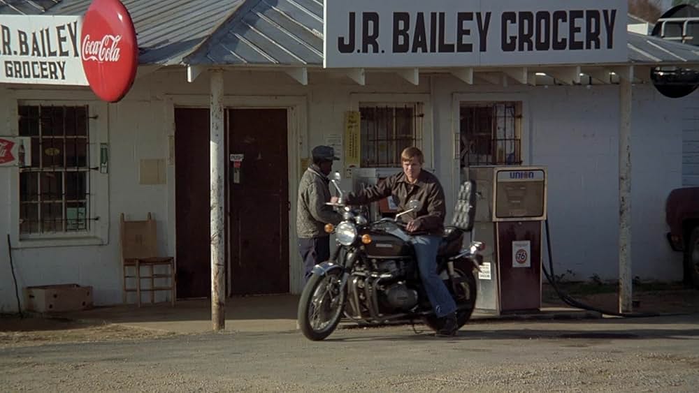 コブラパニック・呪われた牙の画像