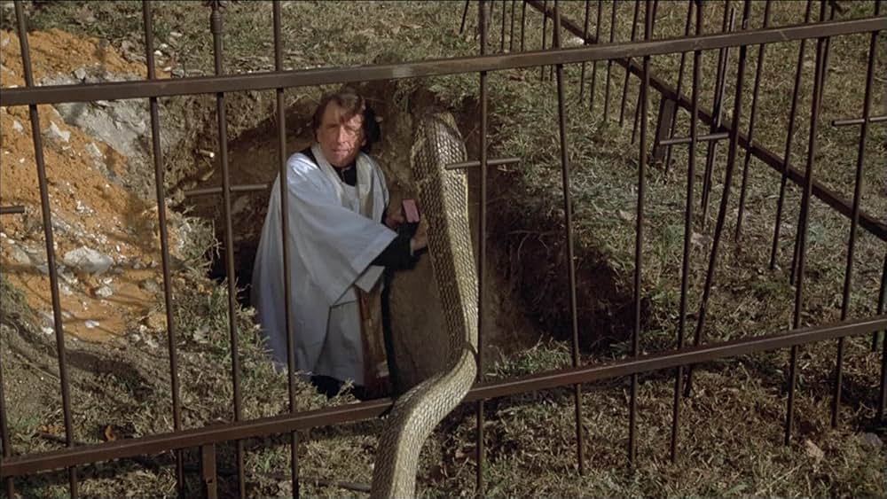 コブラパニック・呪われた牙の写真