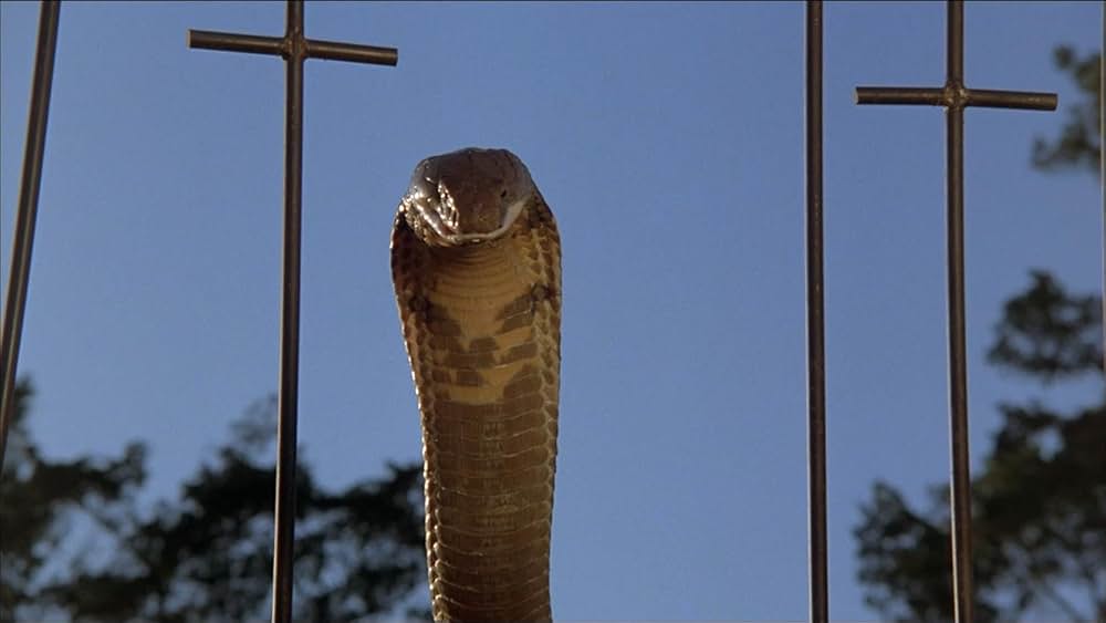 コブラパニック・呪われた牙の画像