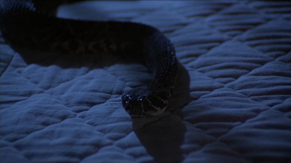 コブラパニック・呪われた牙の画像