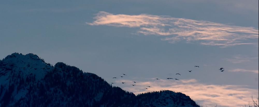 ウォーキング・アウト（原題）の画像