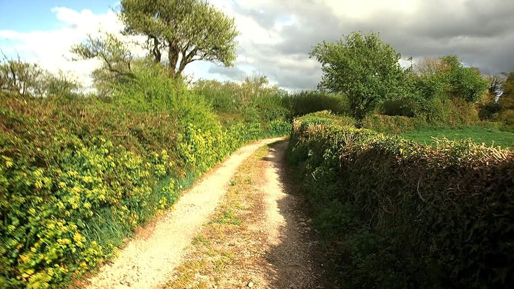 レッド・サバイバー 国境からの脱出の画像