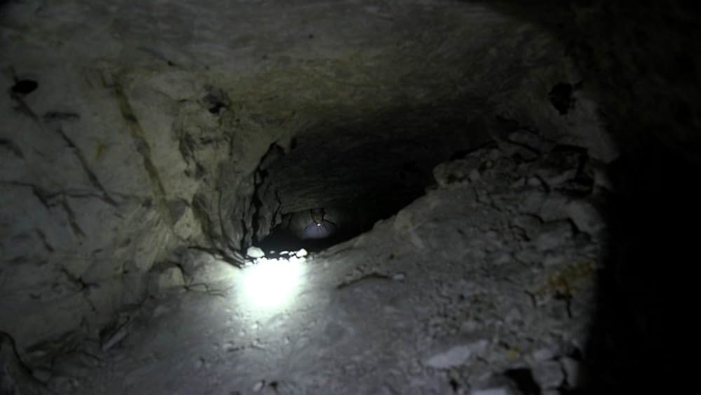 レッド・サバイバー 国境からの脱出の画像