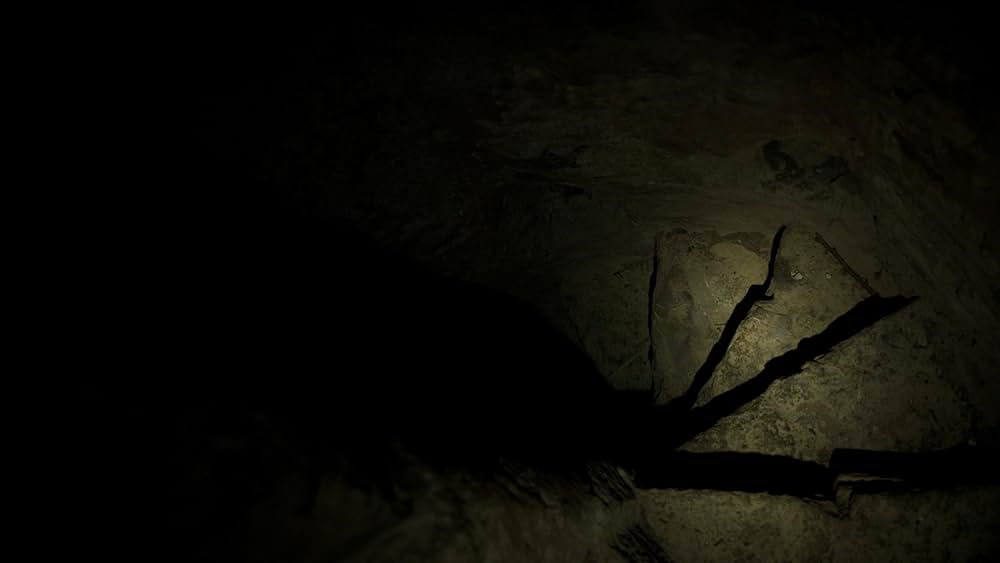 レッド・サバイバー 国境からの脱出の画像