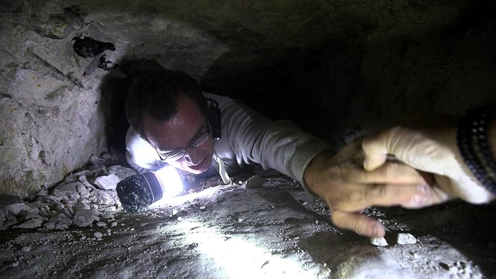 レッド・サバイバー 国境からの脱出の画像