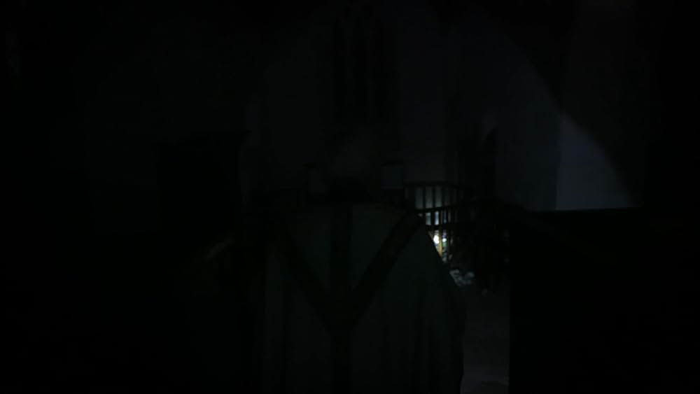 レッド・サバイバー 国境からの脱出の画像