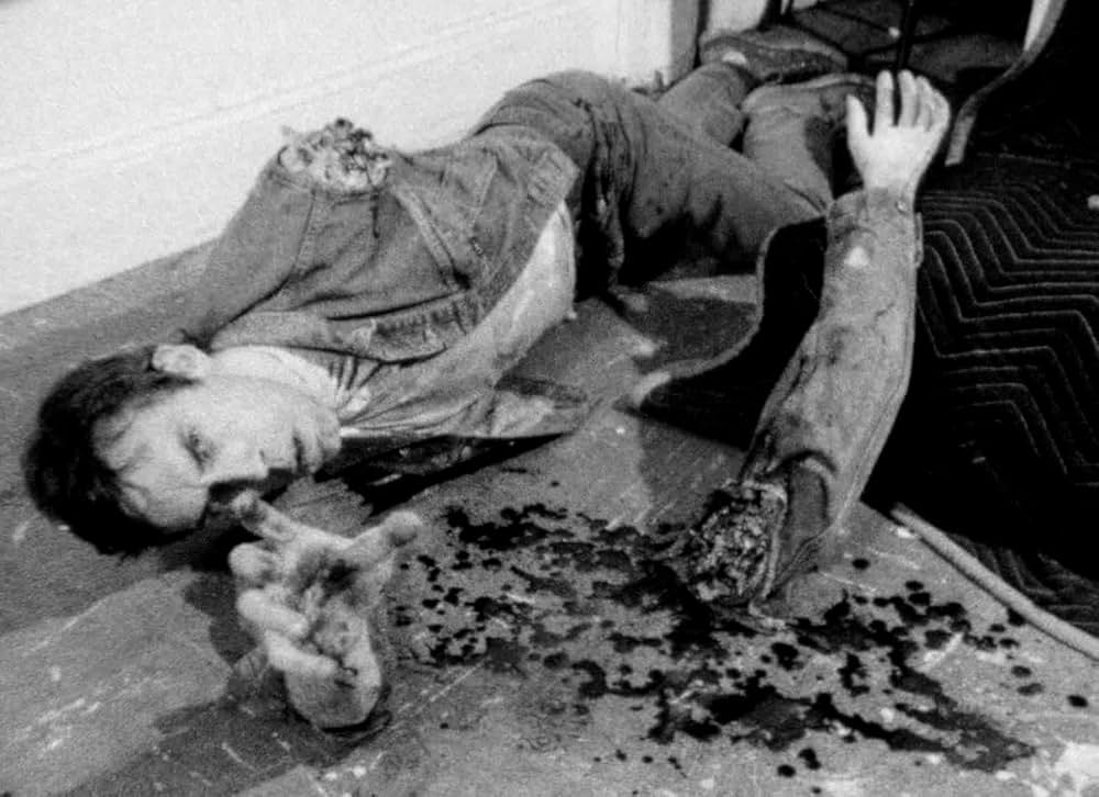 ストレイ・ドッグの画像