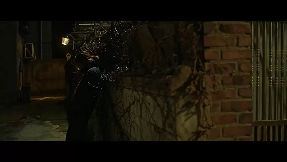 虐待の証明／ミス・ペクの画像