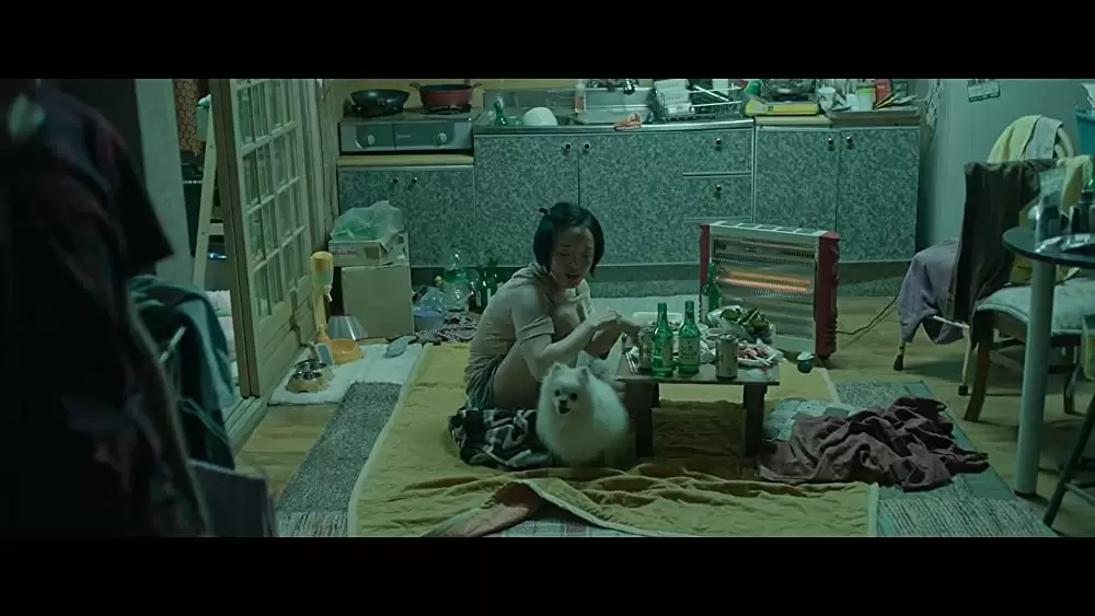 虐待の証明／ミス・ペクの画像