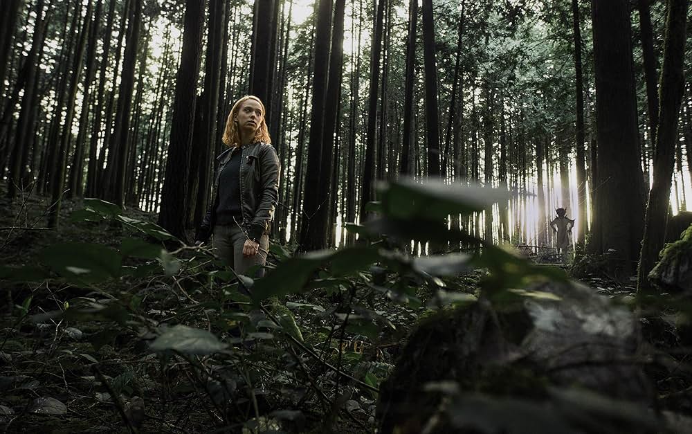 The Hollow Child（原題）の写真