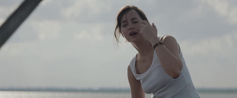 ザ・ピーナッツバター・ファルコンの画像