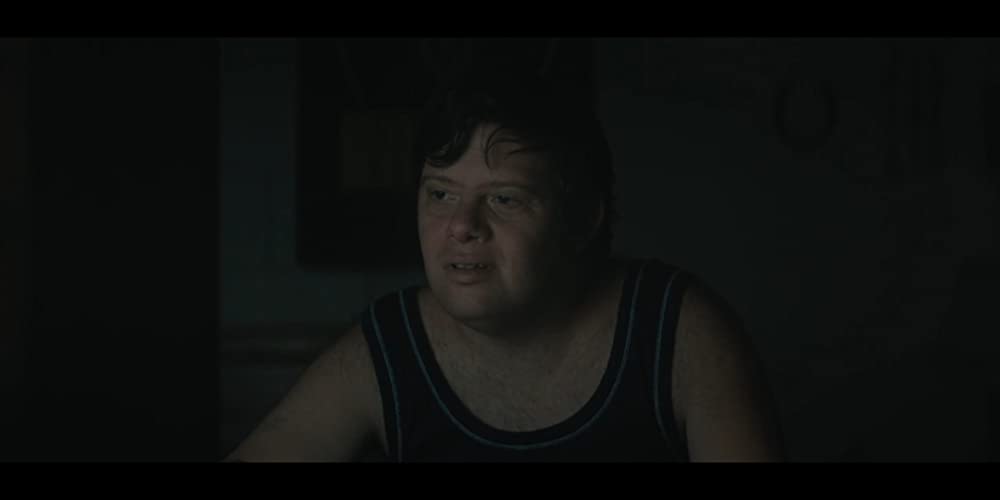 ザ・ピーナッツバター・ファルコンの画像