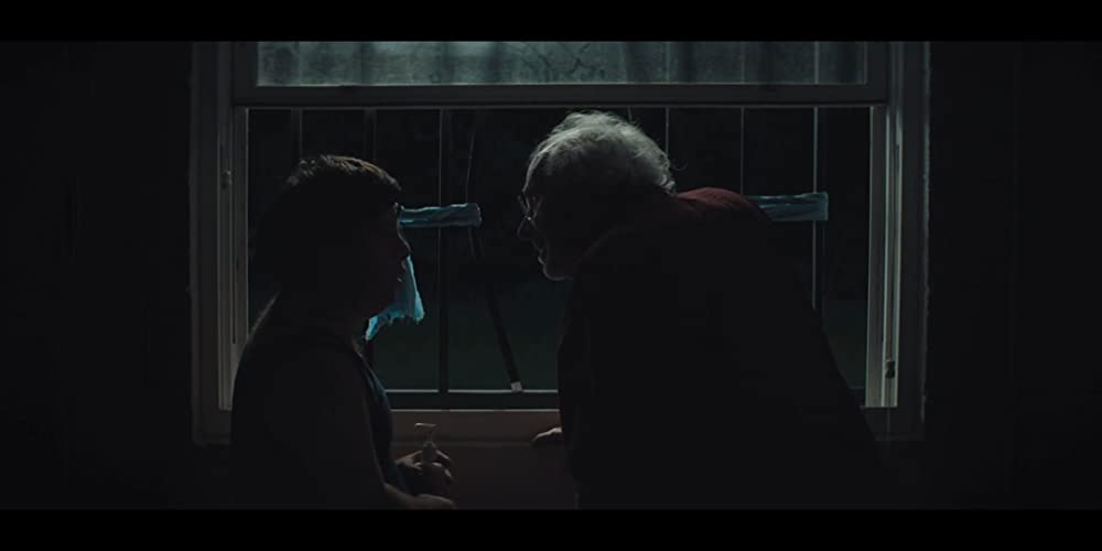 ザ・ピーナッツバター・ファルコンの画像