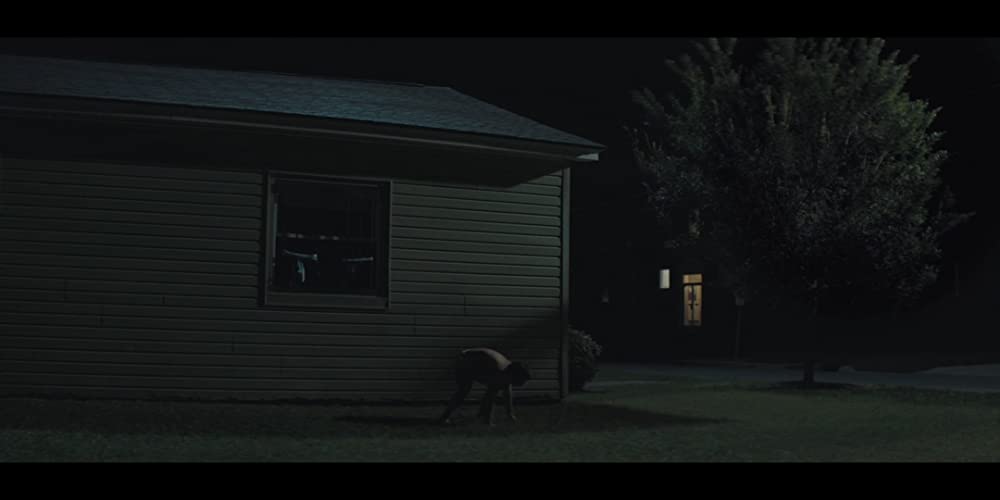 ザ・ピーナッツバター・ファルコンの画像