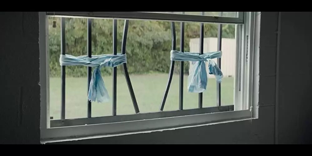 ザ・ピーナッツバター・ファルコンの画像