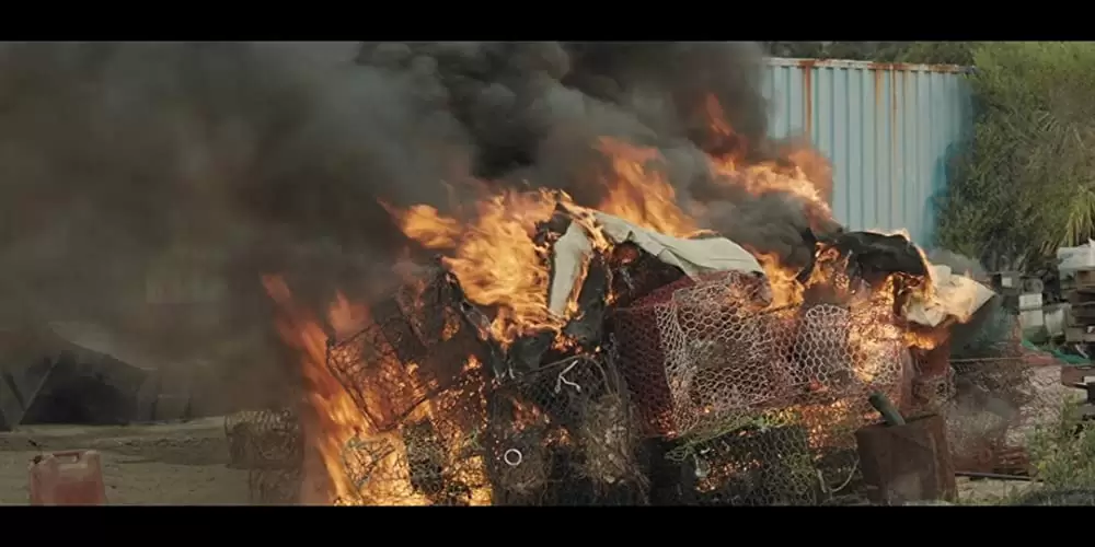 ザ・ピーナッツバター・ファルコンの画像