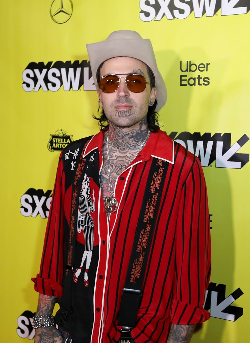 ザ・ピーナッツバター・ファルコンの画像