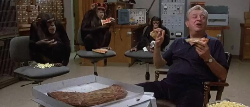 バック・トゥ・スクールの画像