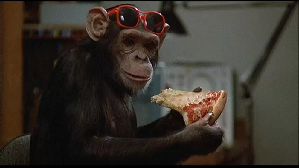 バック・トゥ・スクールの画像