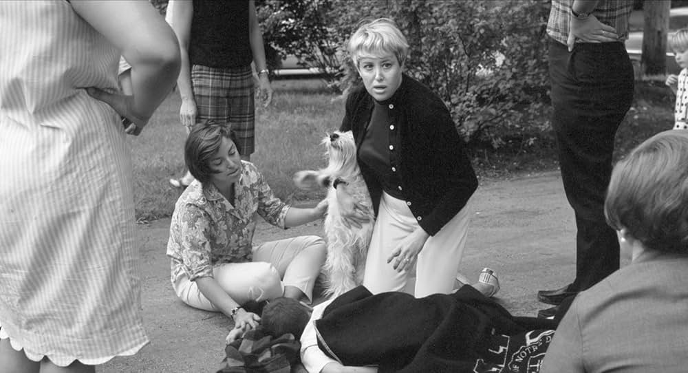 ヴィヴィアン・マイヤーを探しての画像