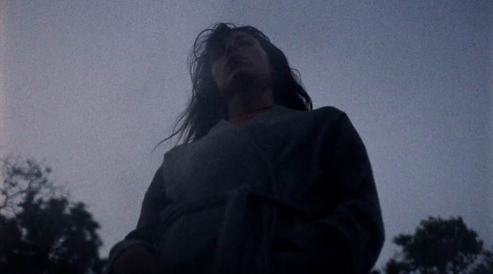 The Transcendents（原題）の画像