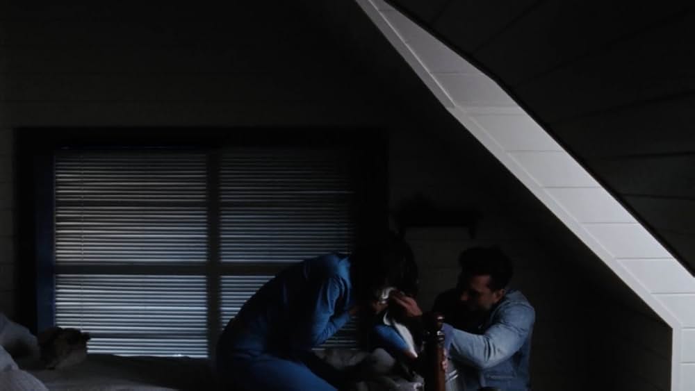 The Transcendents（原題）の画像