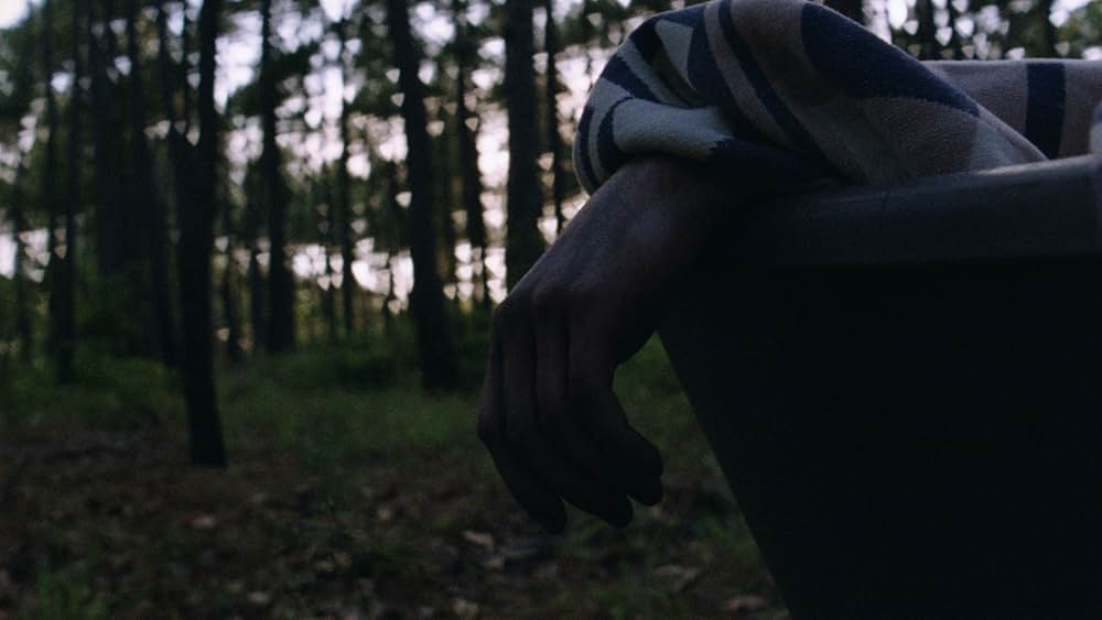 The Transcendents（原題）の画像