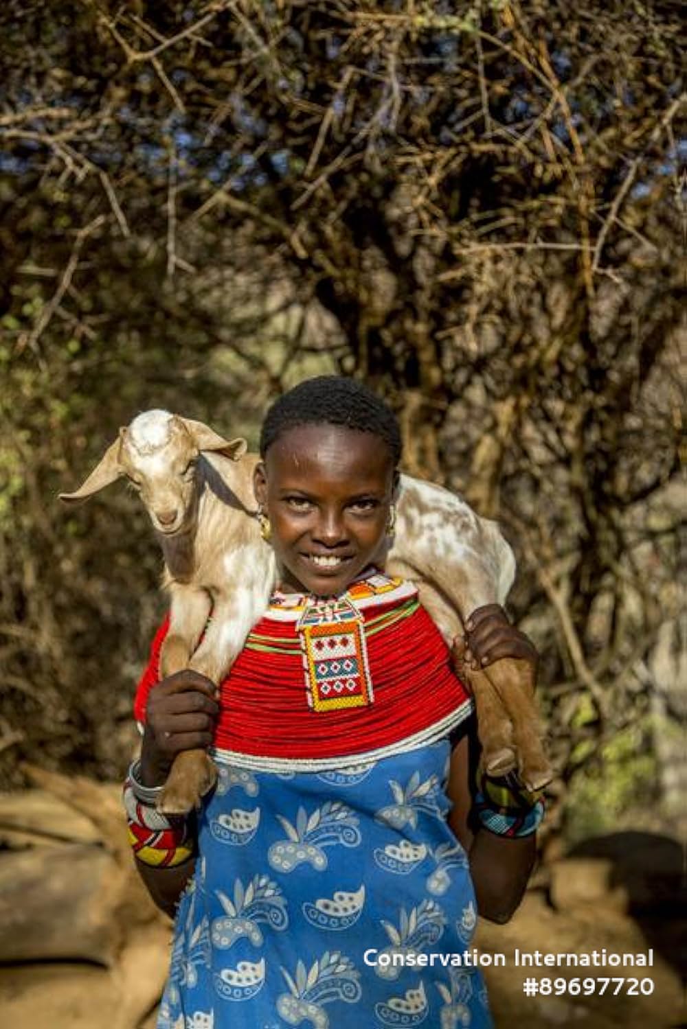 My Africa（原題）の写真