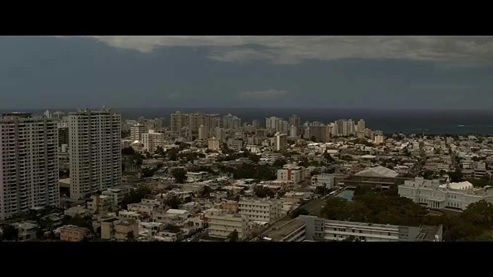 THE LAW 刑事の掟の画像