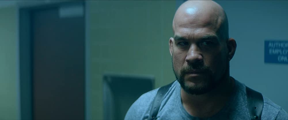 THE LAW 刑事の掟の画像