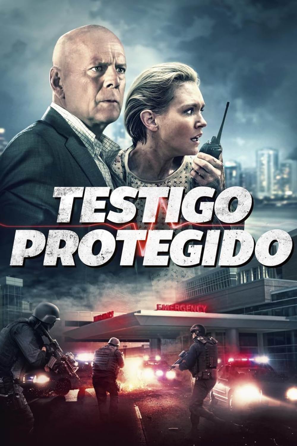 THE LAW 刑事の掟の画像