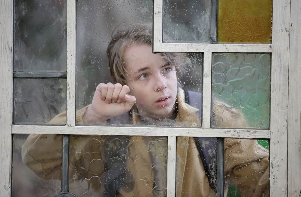 The Butterfly Tree（原題）の画像