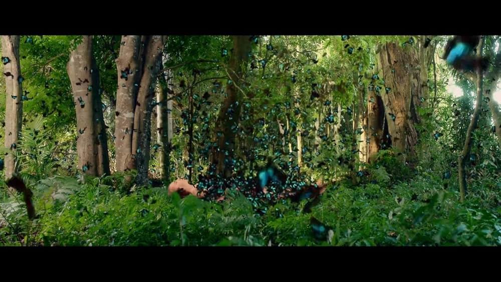 The Butterfly Tree（原題）の画像