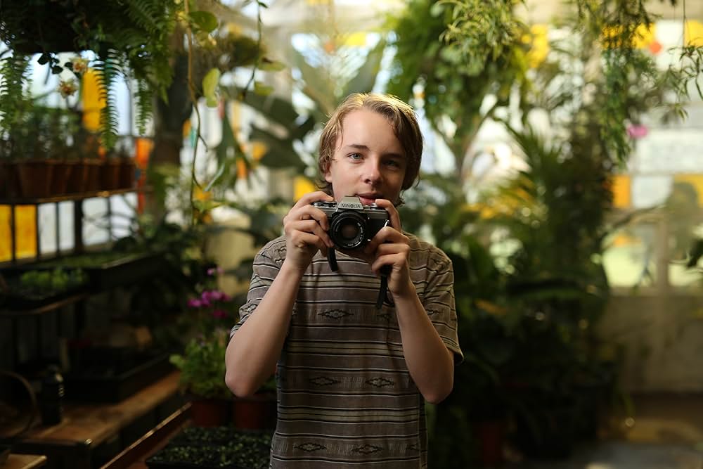 The Butterfly Tree（原題）の画像