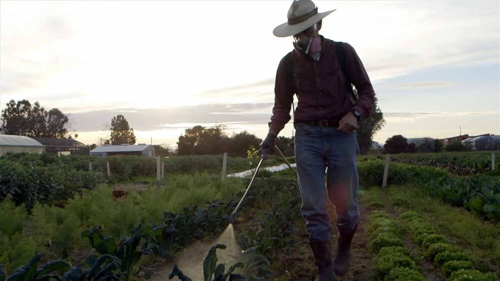 Food Evolution（原題）の画像