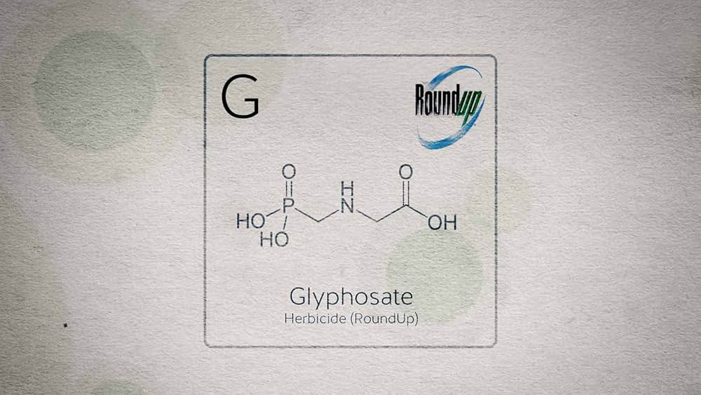Food Evolution（原題）の写真