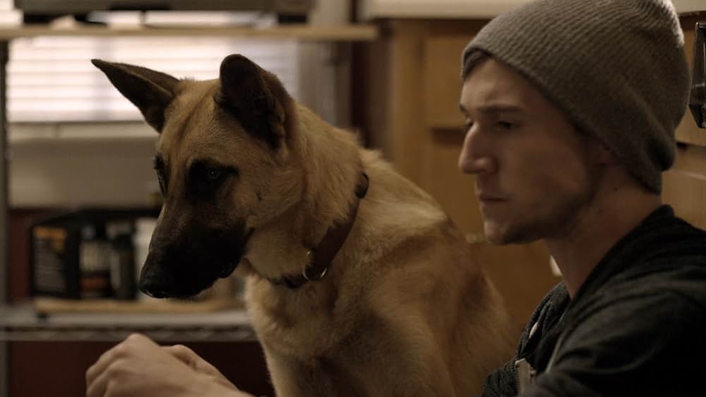 リボーン･ファイターの画像