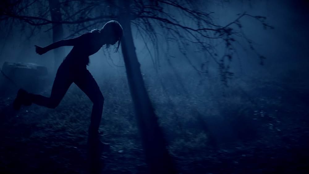 マキシマム・ライド～翼ある者たちの画像