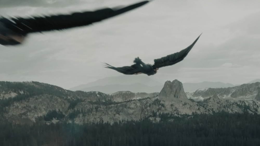 マキシマム・ライド～翼ある者たちの画像