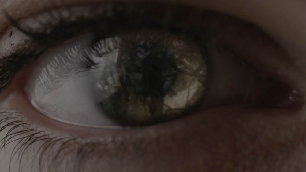 マキシマム・ライド～翼ある者たちの画像