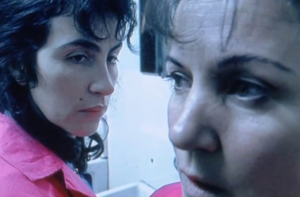 シダリアの画像