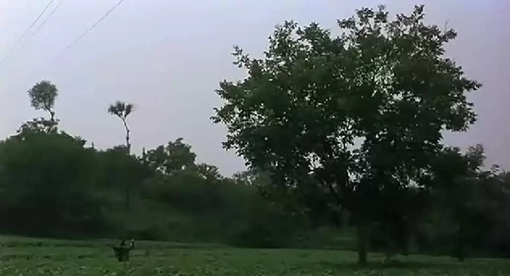 マッスルモンクの画像