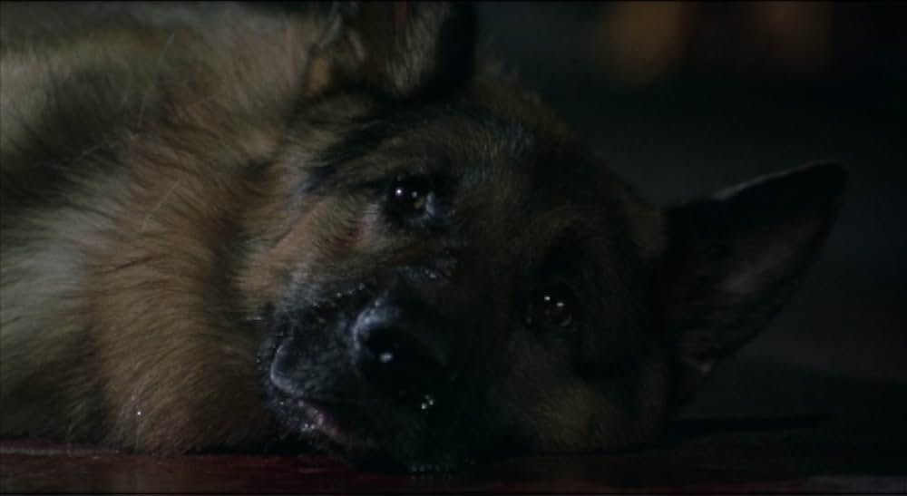 マッスルモンクの画像