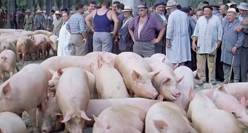 ボッカチオ'70の画像