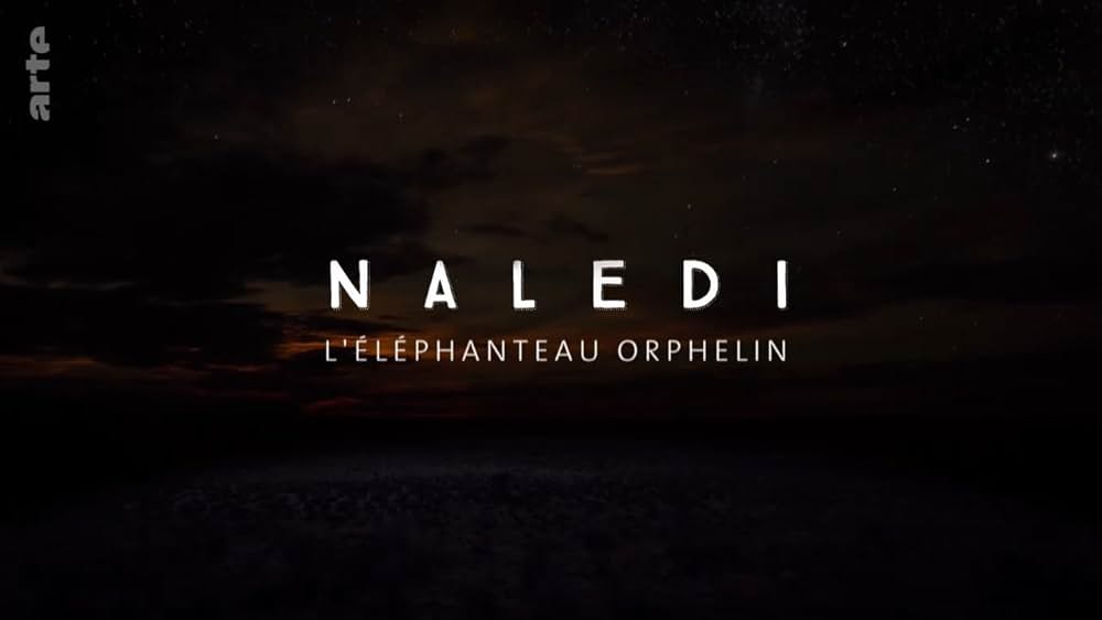 ナレディ：ある子ゾウの物語の写真