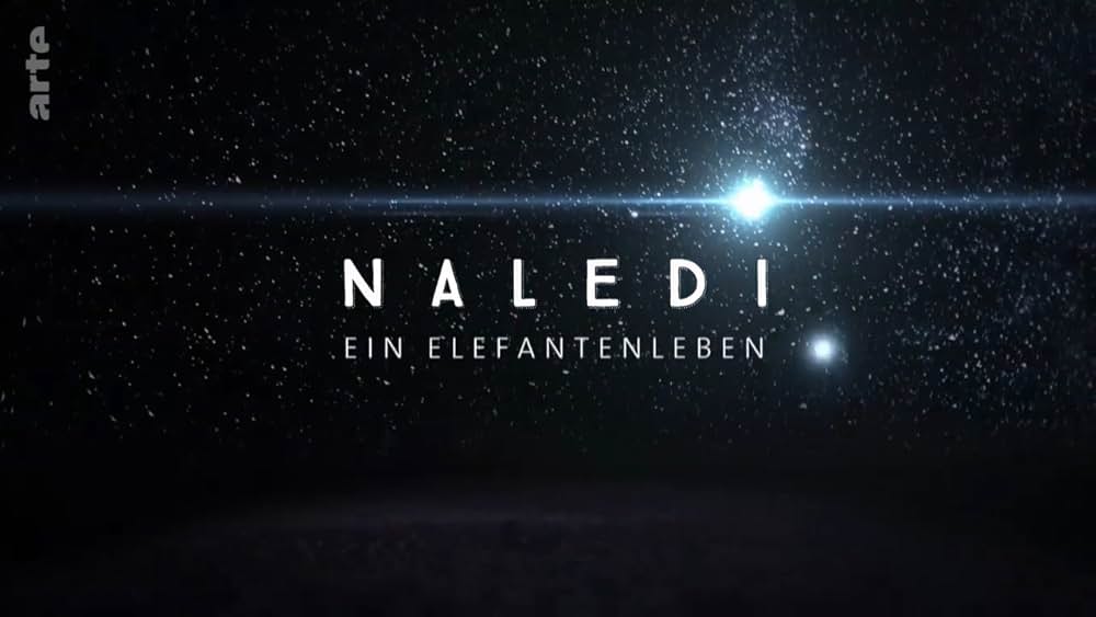 ナレディ：ある子ゾウの物語の画像