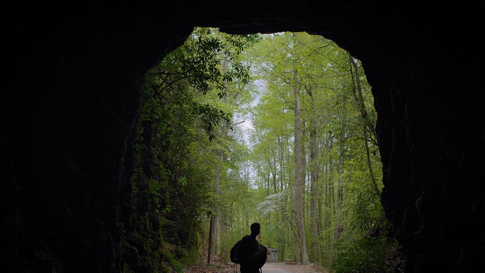 荒野のサバイバルの画像