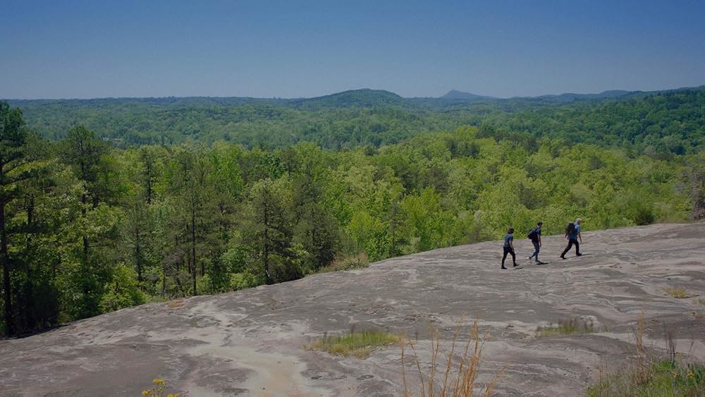 荒野のサバイバルの画像